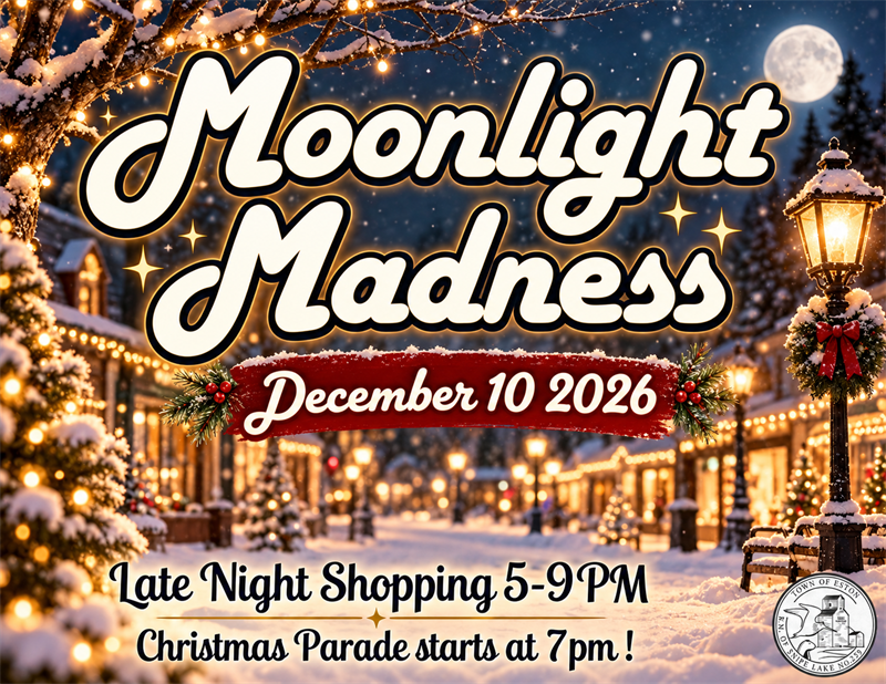 Moonlight_Madness_Winter_Village_Poster