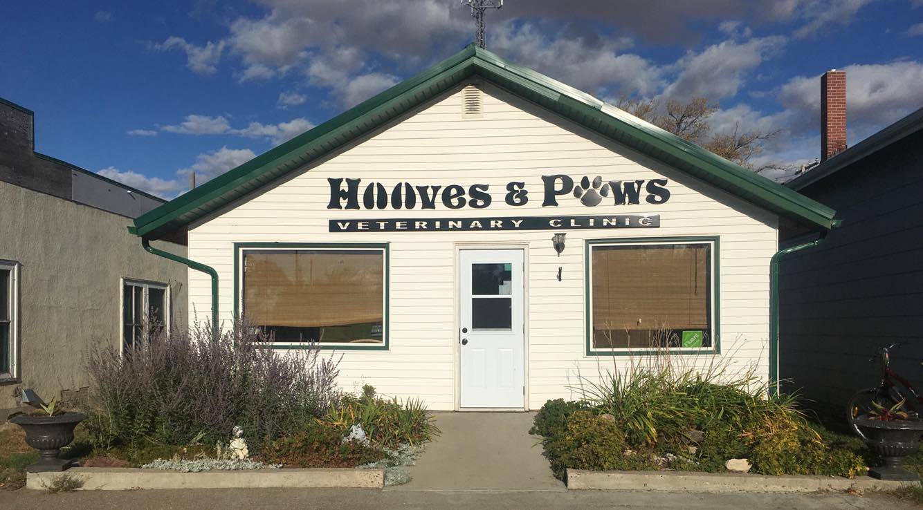 Paws sales veterinary clinic