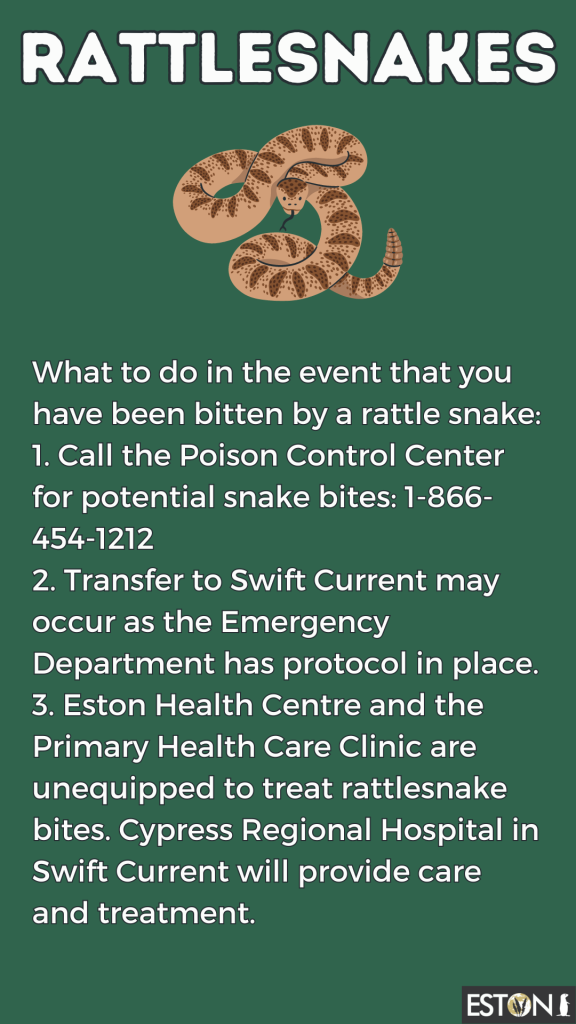 Rattlesnake Sightings July 2023